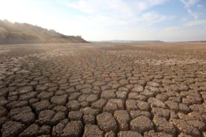 Photo of drought