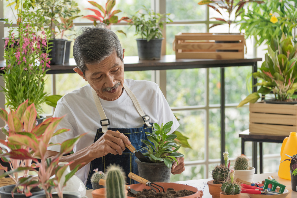 Man tending to his plants indoors