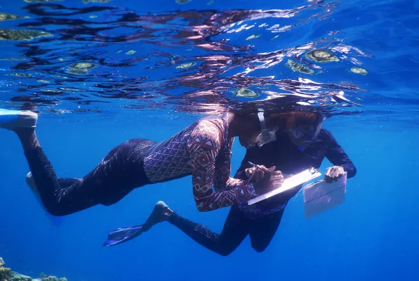 Picture of Naomi Longa and colleague snorkelling under the sea and signing documentation